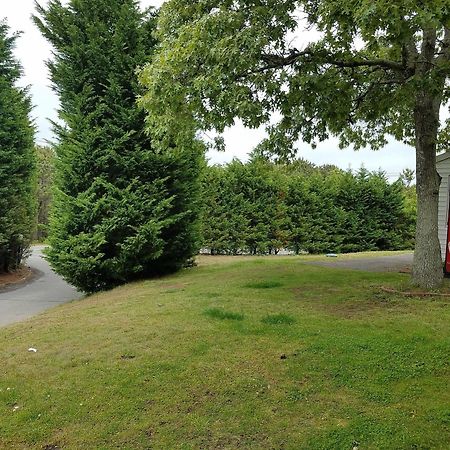 Sea Haven Resort Motel Southampton Esterno foto